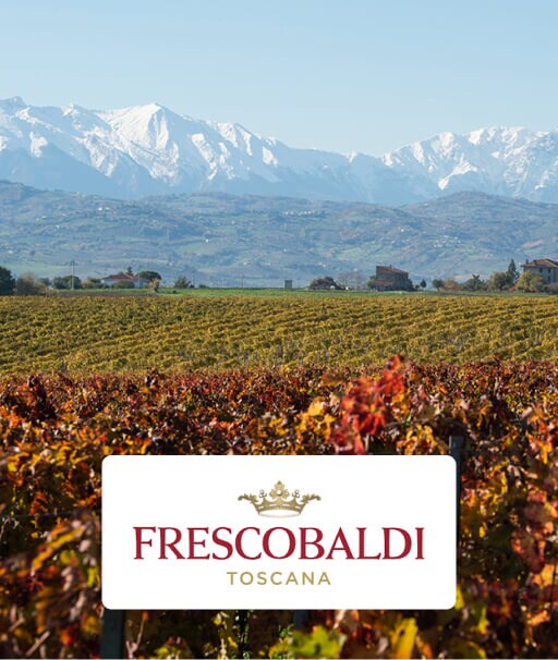 Wijnhuis Frescobaldi